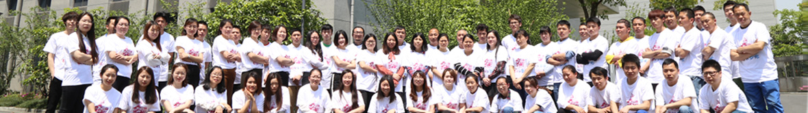 powder coating spray gun